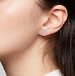 Tytanowy Kolczyk Labret PIERCING Cyrkonie LIŚĆ LISTEK HELIX Lobe (5)